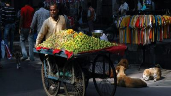 Delhi Street Vendor Jeevika App