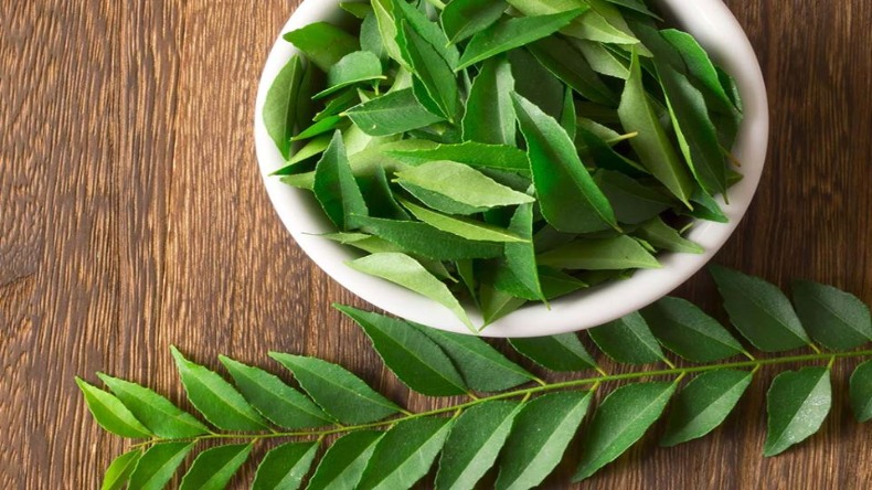 Curry Leaves: बालों में ऐसे लगाएं करी पत्ते, सारी परेशानियां होंगी दूर, बाल दिखेंगे चमकदार