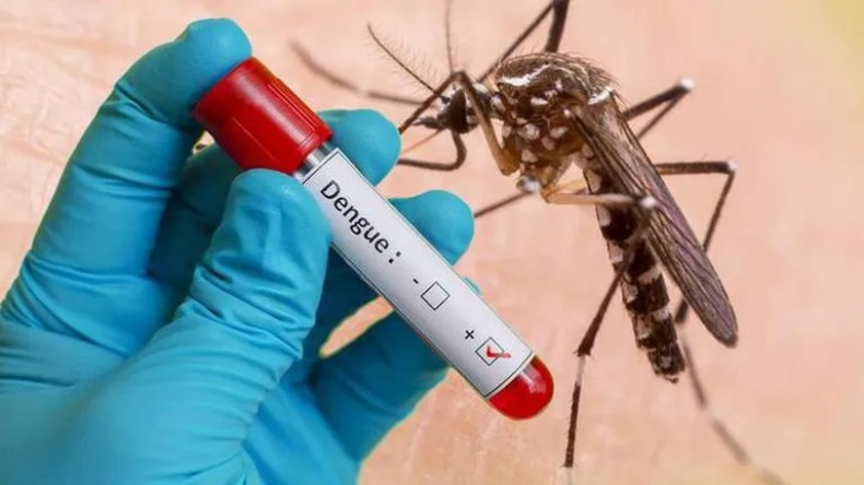 Dengue Disease: डेंगू बच्चों को जल्द बनाता है अपना शिकार, जानिए कारण