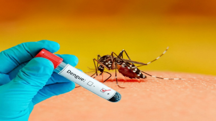 Dengue Fever:
