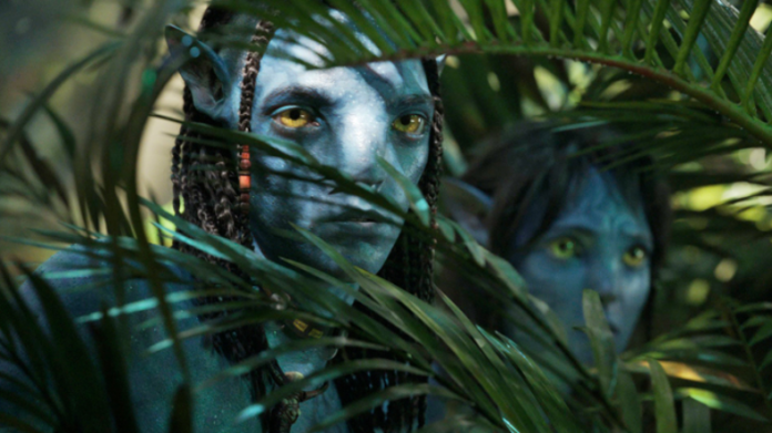 James Cameron Avatar Sequals:
