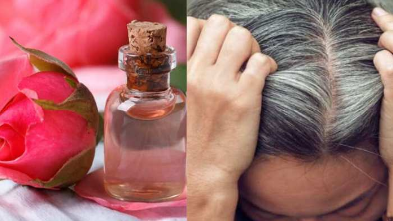 Rosewater Benefits for Hairs: सर्दियों में अपने बालों का रखे खास ख्याल, जानिए कुछ उपाए