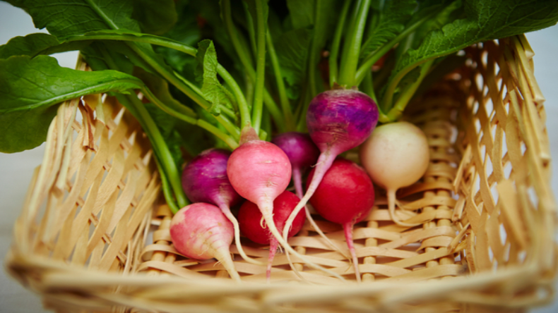 Benefits of Turnips: इम्यूनिटी से लेकर वायरल इंफेक्शन तक के लिए फायदेमंद है शलजम, जानिए इसे खाने के फायदे