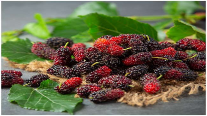 Benefits Of Mulberry:
