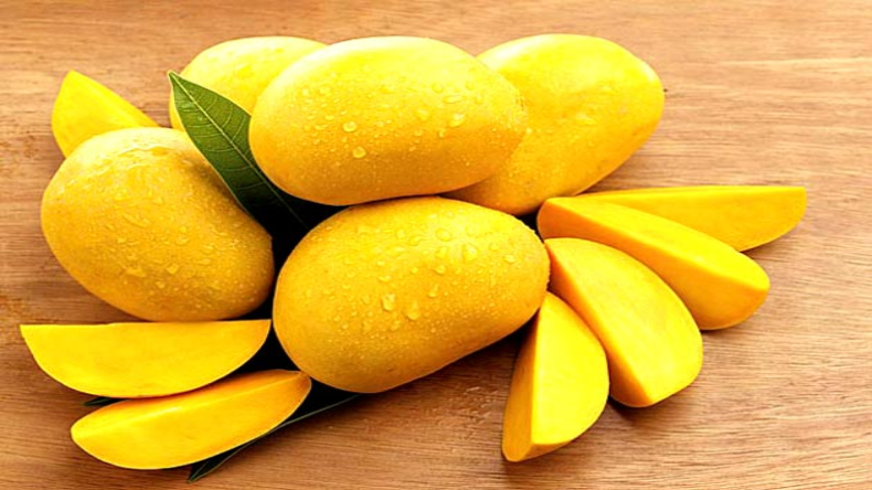 Benefits of Mango: आम मे छिपें है कई तरह के पोषण, जानिए इसे खाने के फायदे