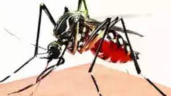 Delhi Dengue Cases