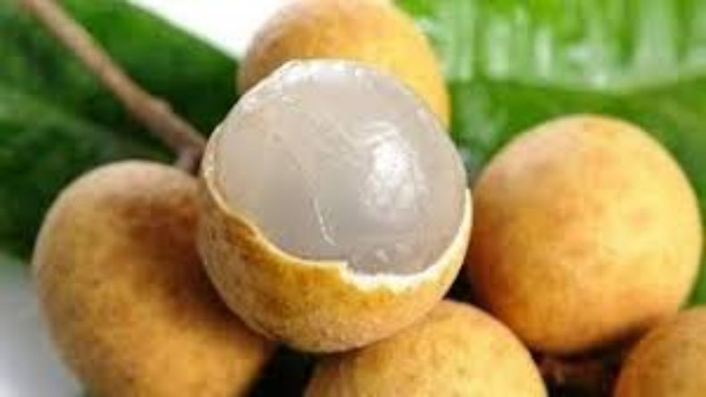 Health Tips For Longan: ये फल आयरन की कमी को करता है दूर, जानिए इसके 4 फायदे