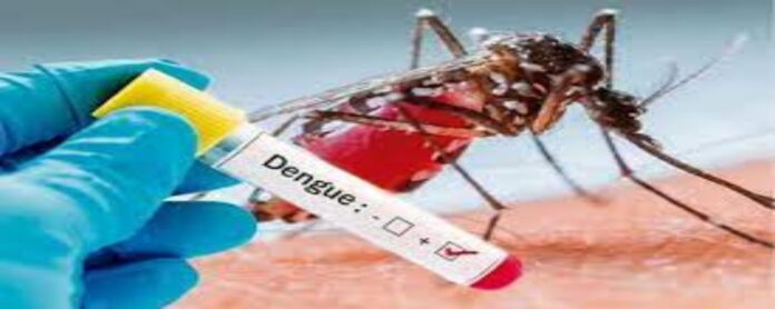 Dengue In Delhi: Administration alert regarding dengue, 208 notices handed over for non-compliance of prevention instructions