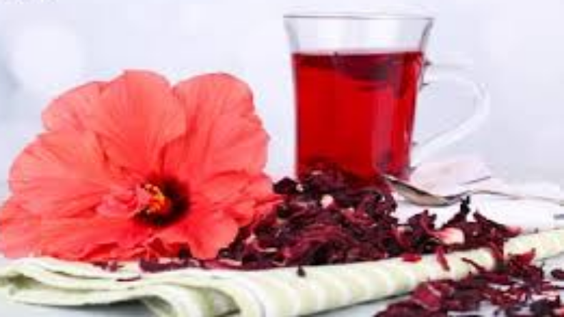 Benefits Of Hibiscus Flower: गुड़हल का फूल हमें बीमारियों से रखता है दूर, इस फूल के फायदे जान रह जाएंगे दंग