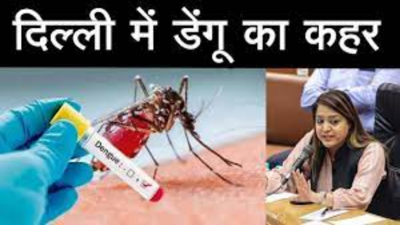 Dengue Case In Delhi: दिल्ली में बढ़ा डेंगू का खतरा, निगम पर लगा रिपोर्ट छिपाने का आरोप