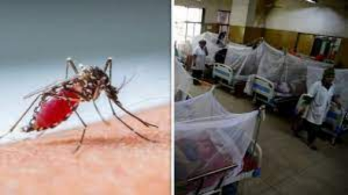 Dengue Record