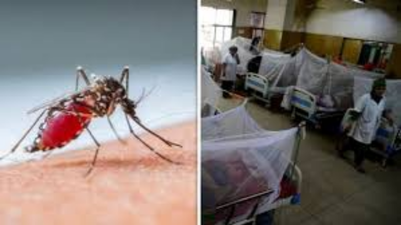 New Dengue Case In Delhi: दिल्ली में फिर बढ़ा डेंगू का खतरा, अब तक 1 लाख से ज्यादा लोगों की मौत