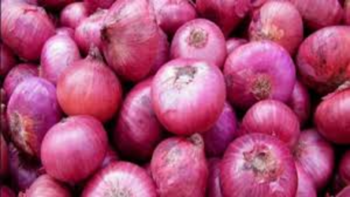 Delhi Onion Price
