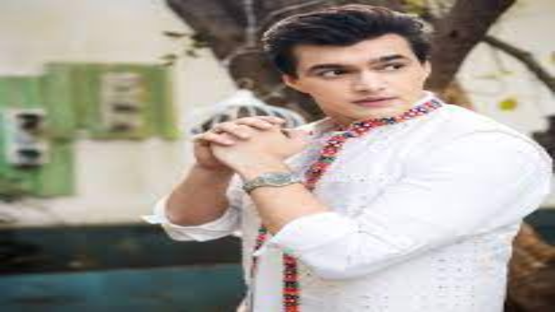 Mohsin Khan Birthday: आज है टीवी सेंसेशन मोहसिन खान का जन्मदिन, विवादों से है पुराना नाता