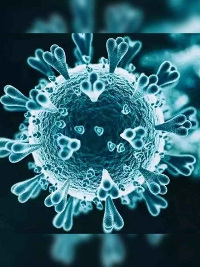 अब दुनिया में आया B Virus वायरस, बंदर के काटने से हो रही जानलेवा बीमारी