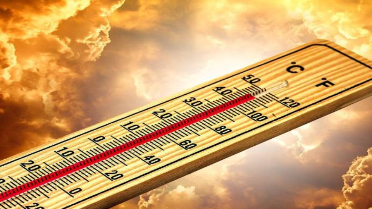 Heatwave Side Effect: लू लगने से क्यों हो रही है लोगों की मौत, हीट वेव के दौरान शरीर में होते हैं बदलाव ?